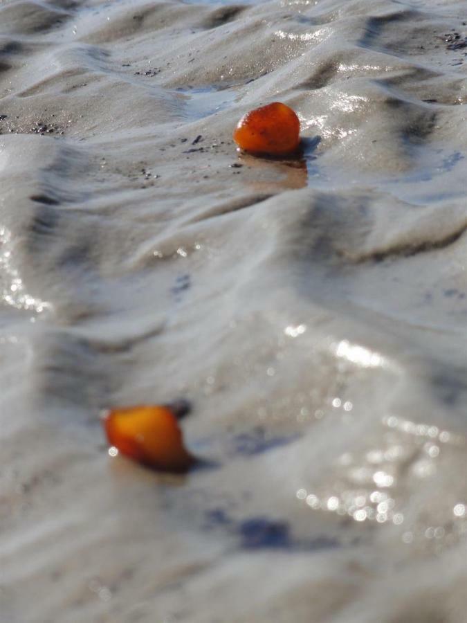 Dietrichs Wentzelhof Sankt Peter-Ording Exterior photo